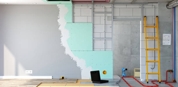 Forensic Mold Investigation in San Dimas, CA