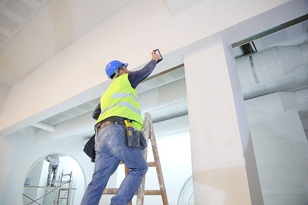 Best Attic Mold Removal  in San Dimas, CA